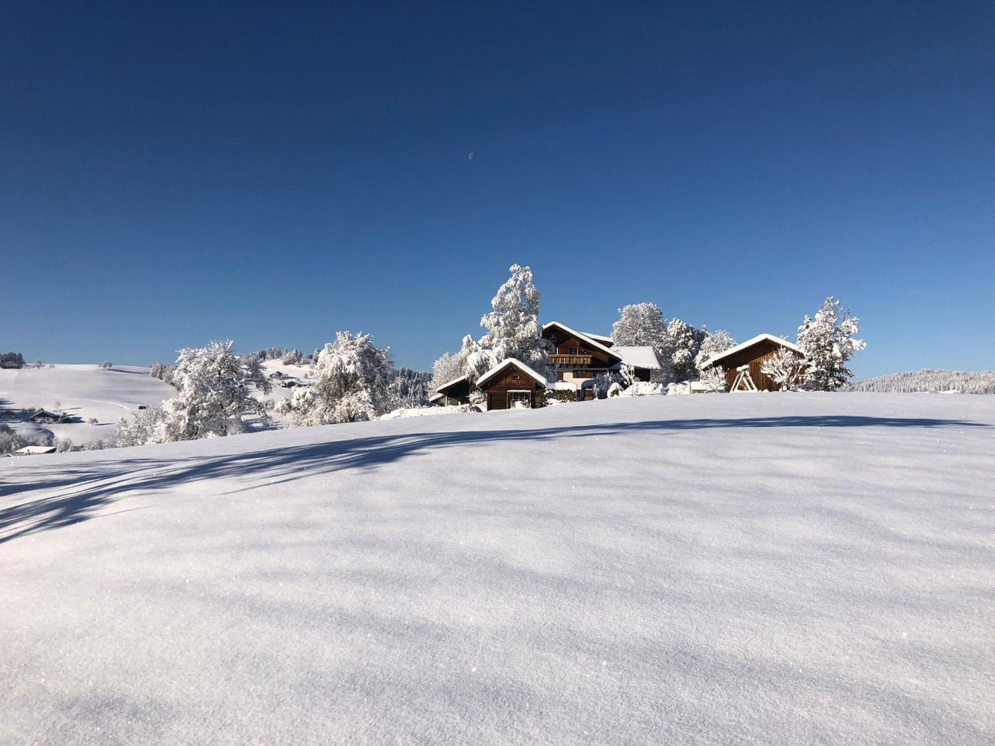 Ferienwohnung Aigisblick Mit Pool Und Sauna, Direkt Am Skihang Missen-Wilhams Exterior photo
